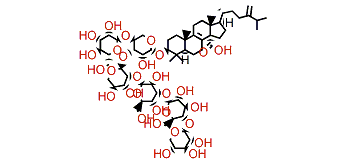 Eryloside P